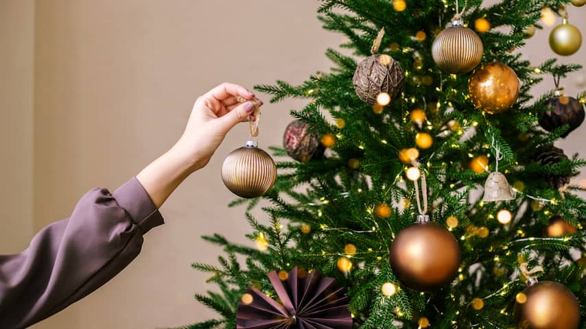 De geschiedenis van de kerstboom: waar komt de traditie vandaan