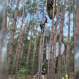 Paratroeper gewond na landing bij oefening Nederlandse landmacht in België