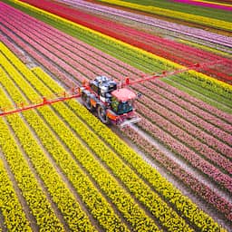 Biologische boer moet akker verkopen vanwege bestrijdingsmiddelen: 'Stuitend'
