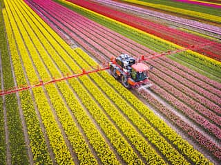 Biologische boer moet akker verkopen vanwege bestrijdingsmiddelen: 'Stuitend'