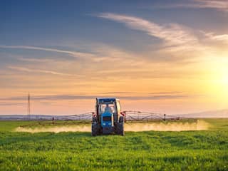 Gele akkers en grotere oogst: waarom glyfosaat zo omstreden is