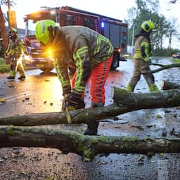 Schade door storm Benjamin valt mee: 'Windvlagen minder fors dan verwacht'