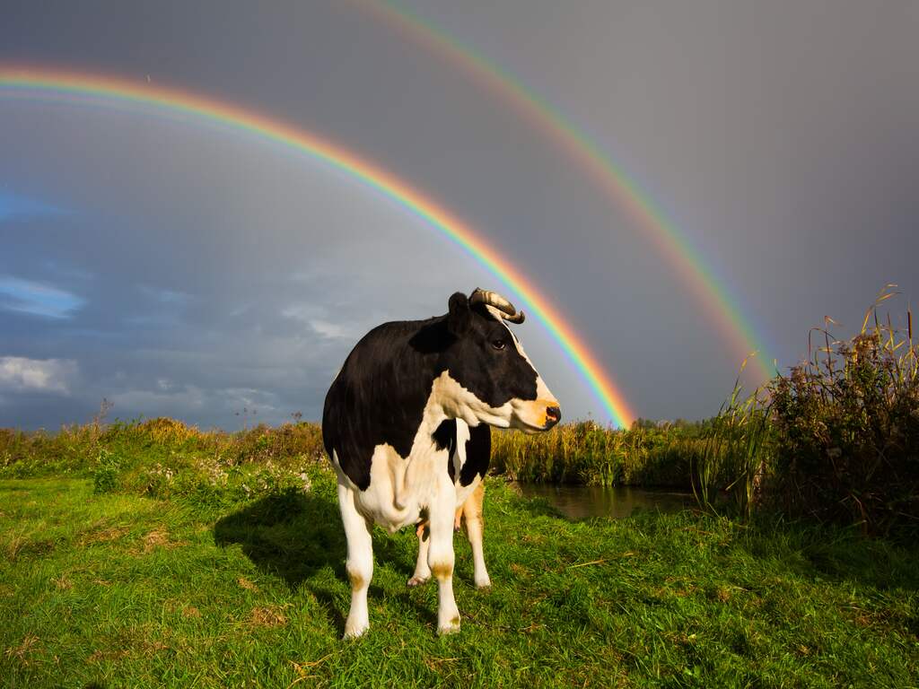 Weekendweerbericht | Paraplu en camera mee voor fotogenieke regenbuien