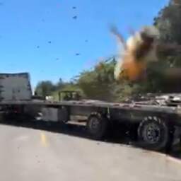 Video | Miljoenen bijen ontsnappen uit gekantelde truck in de VS