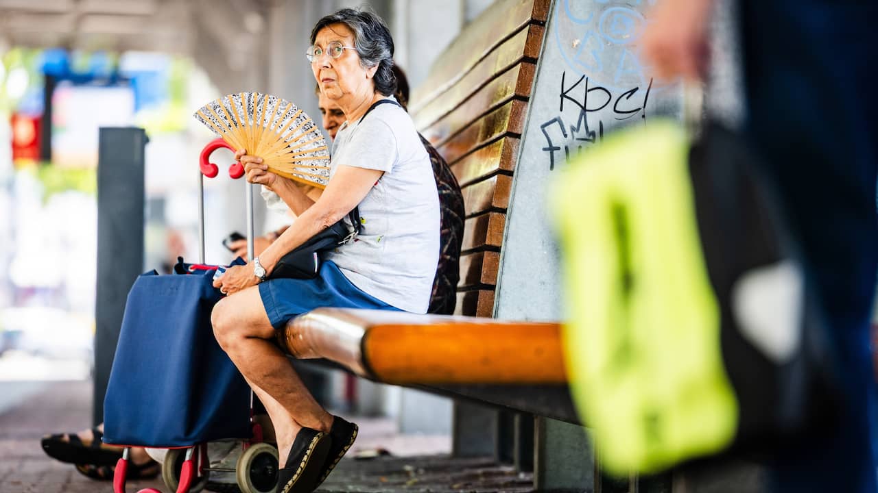 Live hitte | Warmste junidag ooit in Nederland: 36,4 graden in De Bilt