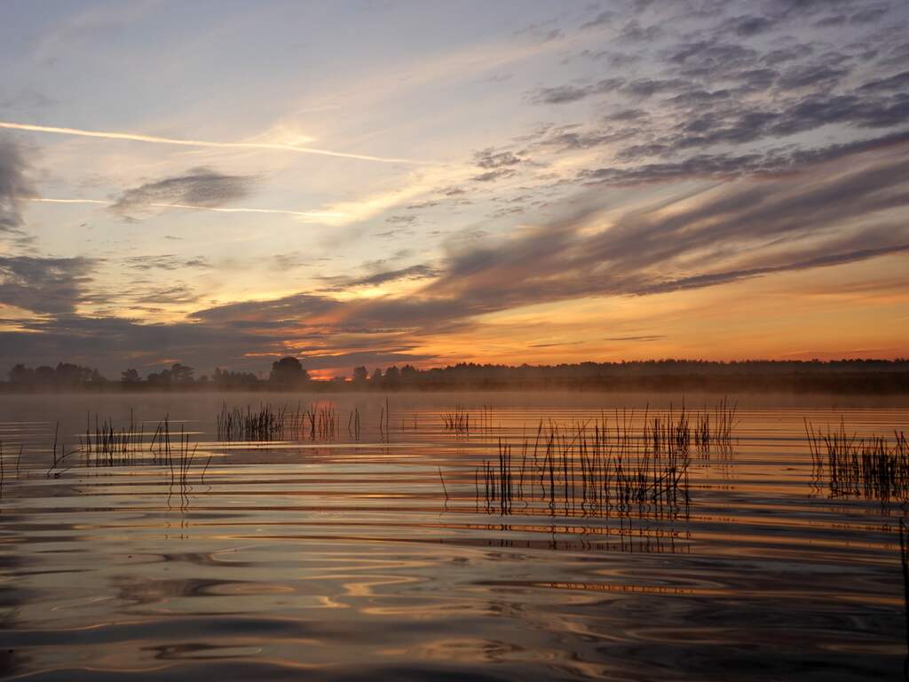 Dinsdag 14 juli: Met enkele opklaringen, mooi ochtendrood en lokaal nevel en mist is het een mooie start van de dag in Zuidoost-Brabant.