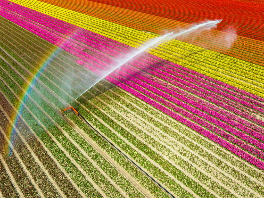 Gras is geel en beken drogen op, maar nog geen grote problemen door droogte