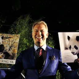 NU+ | Marcel Boekhoorn, de kleurrijke suikeroom van NEC: 'Balotelli móest komen'