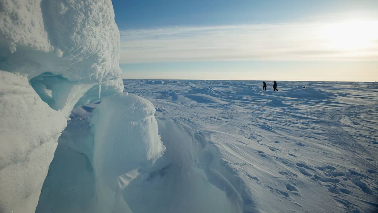 NUcheckt: Waarom er echt steeds minder ijs op de Noordpool is | Klimaat