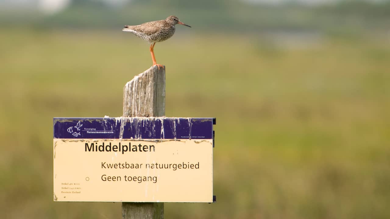 Ook Wolphaartsdijk heeft dorpsplan