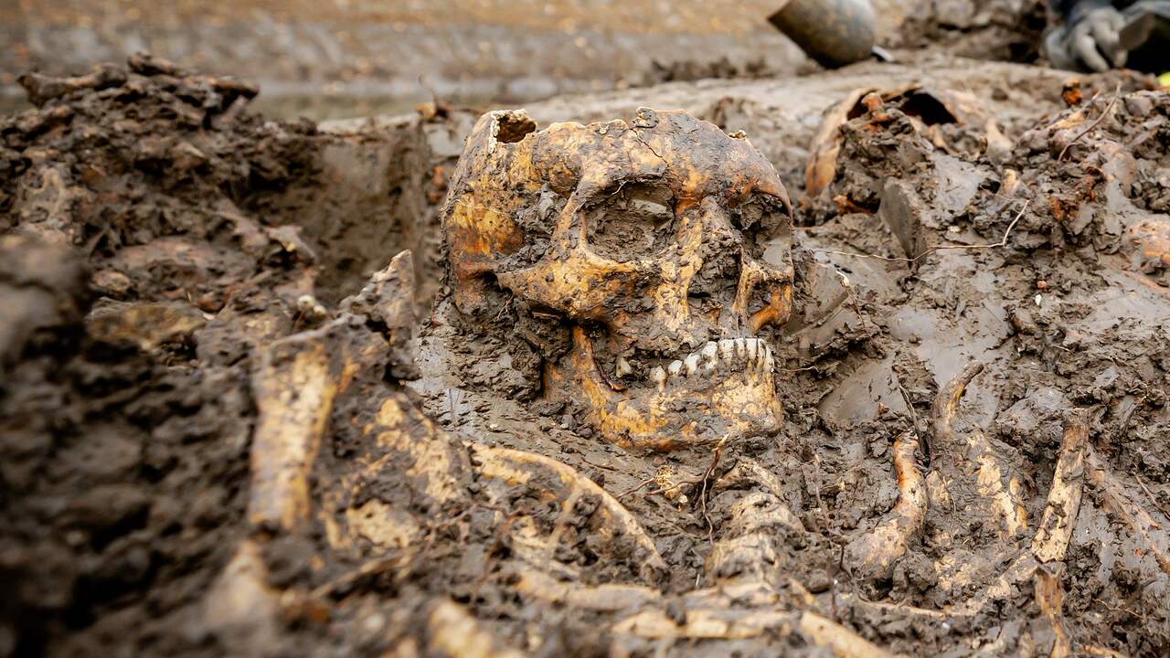 Gevonden schedels in Zuidland zijn te oud om nog te identificeren