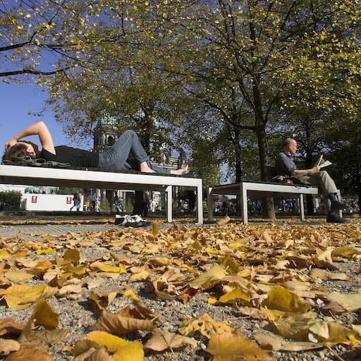 Illustratie bij: Hoge temperaturen in slot van september zijn opzienbarend: 'Komt zelden voor'