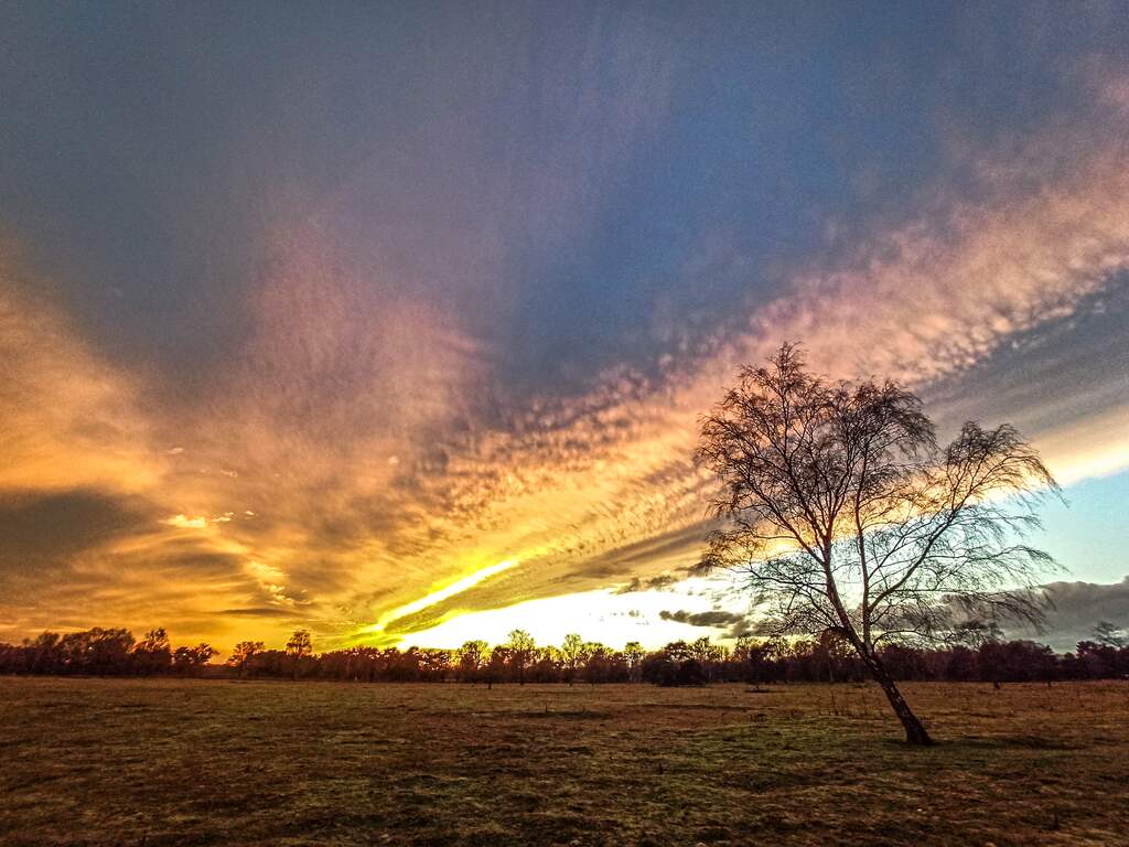 Weekendweerbericht: Veelal bewolkt, af en toe laat zon zich zien