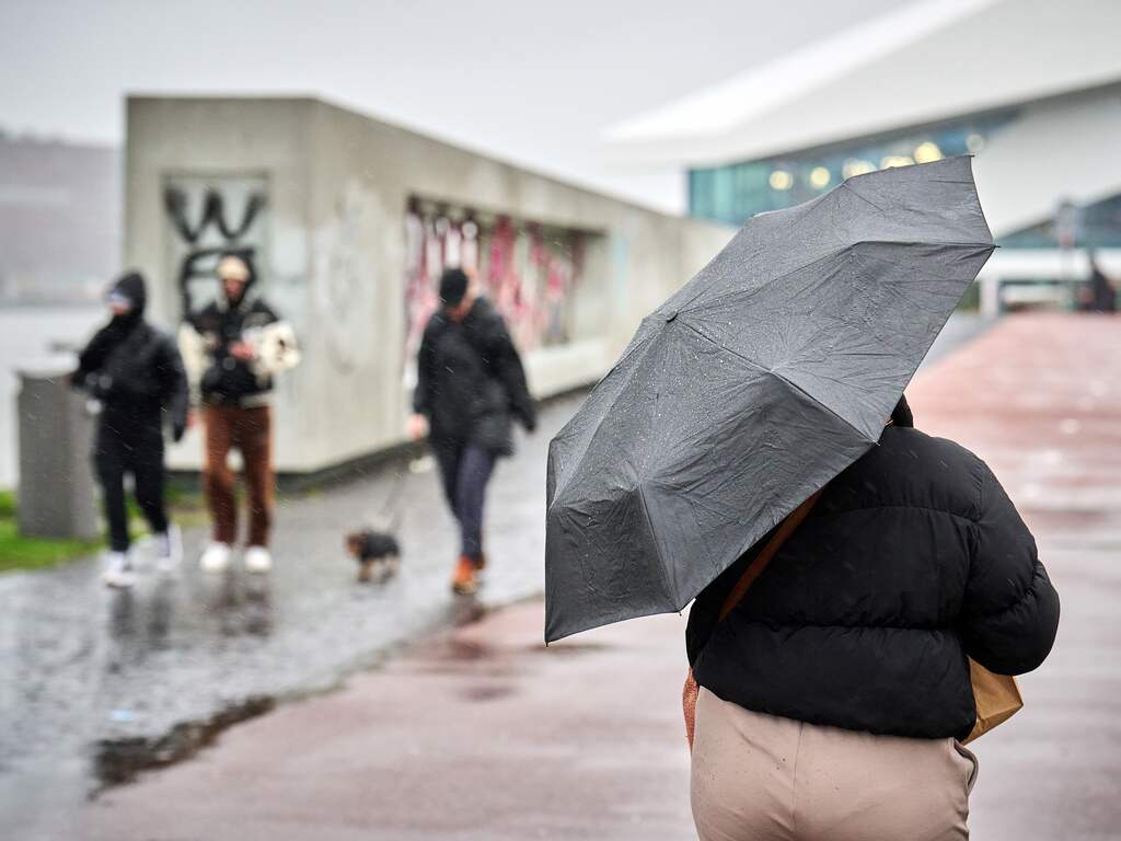 Weerbericht | Lokaal zware windstoten mogelijk op natte en gure dag