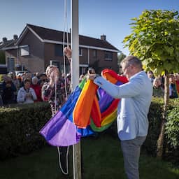 Regenboogvlaggen vlak voor Coming Out Day gestolen in gemeente Oldebroek