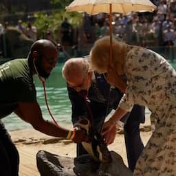 Video | Koning Charles test gezondheid pinguïns in Londense dierentuin