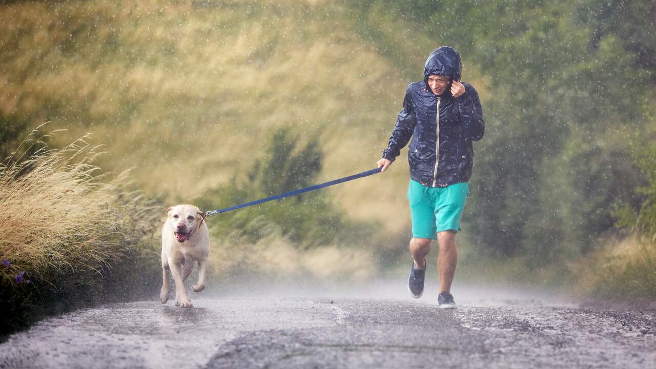 Code geel vanwege hitte en onweer in grootste deel van het land ...