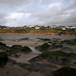 Jongetje vindt 27 jaar na zware storm zeldzame LEGO-octopus in Cornwall