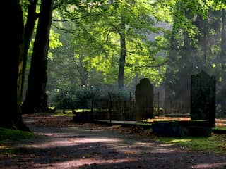 Ombudsman onderzoekt spirituele bijeenkomst op kindergedeelte begraafplaats