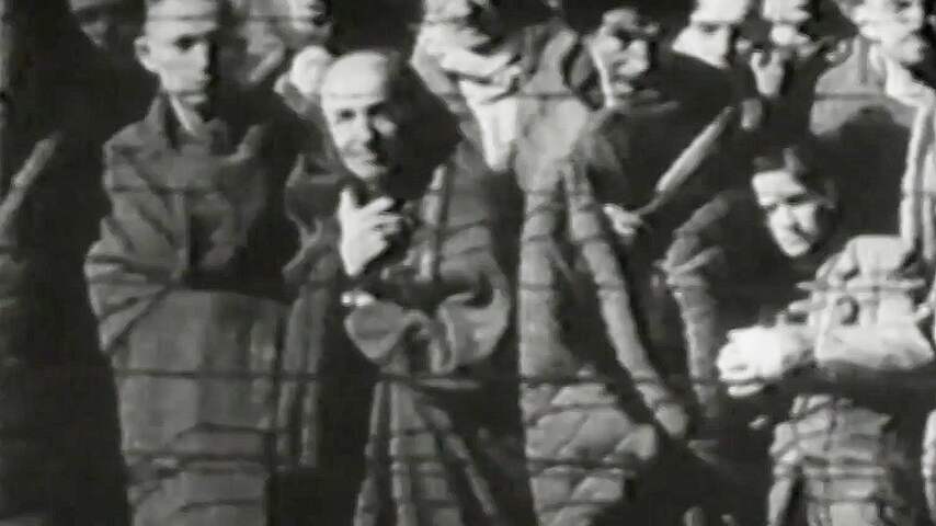 4 mei: wat voor leven is er na een oorlog?