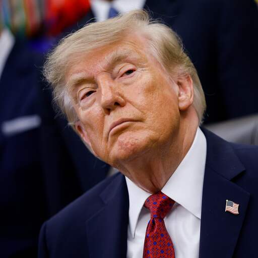 Illustratie bij: Rechter in VS blokkeert decreet van Trump dat geboorterecht zou beperken