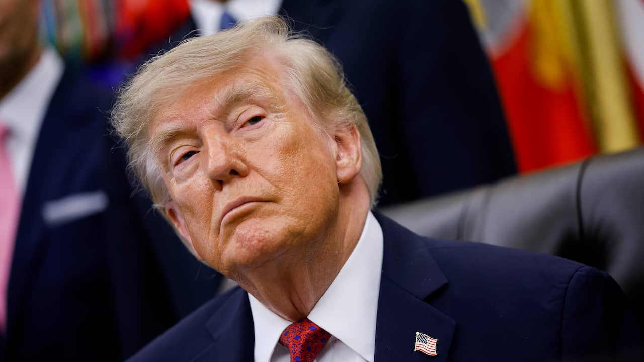 Foto bij Rechter in VS blokkeert decreet van Trump dat geboorterecht zou beperken