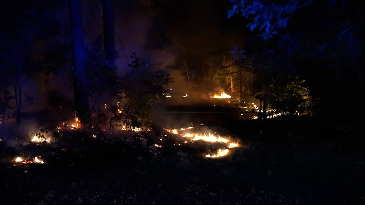 Video | Brandweer probeert flinke natuurbrand Rhenen onder controle te krijgen