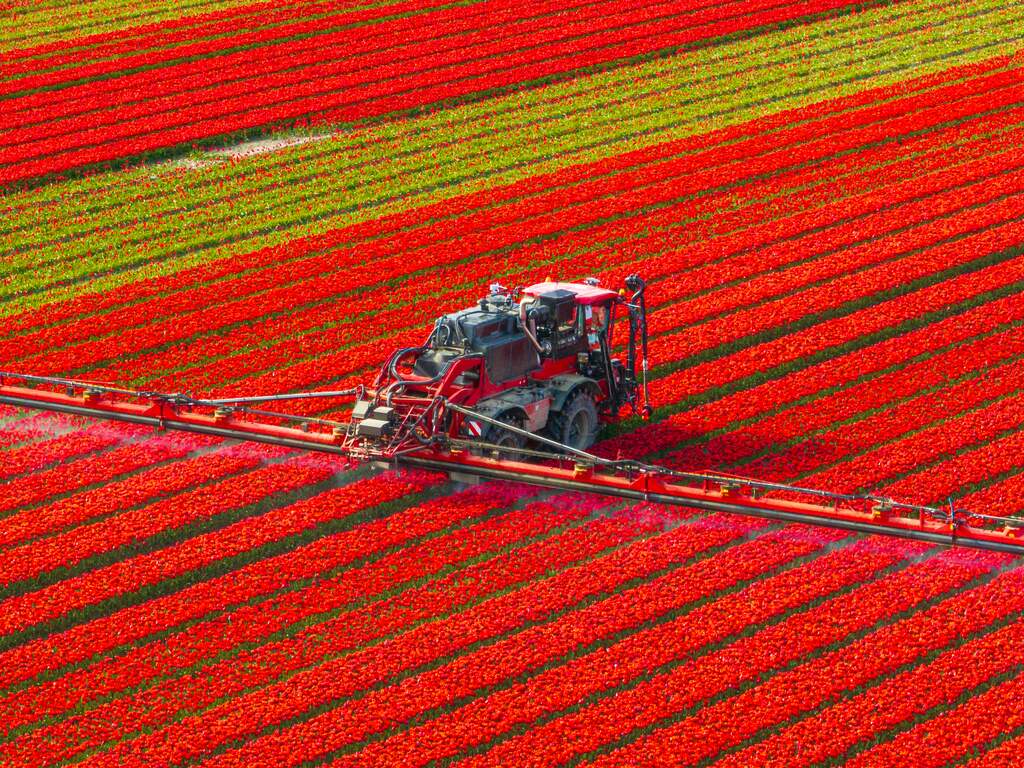 Mix van bestrijdingsmiddelen in sloten en plassen is een 'dodelijke cocktail'
