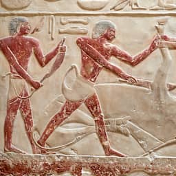 Prinsessen in het Oude Egypte konden goed met wapens overweg: 'Geen luxelevens'