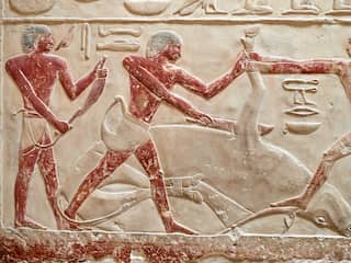 Prinsessen in Oude Egypte konden goed met wapens overweg: 'Geen luxelevens'
