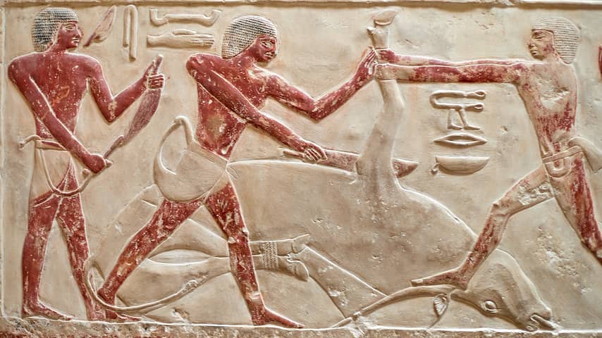 Prinsessen in Oude Egypte konden goed met wapens overweg: 'Geen luxelevens'
