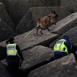 Video | Hond snuffelt naar cocaïne in Scheveningse haven