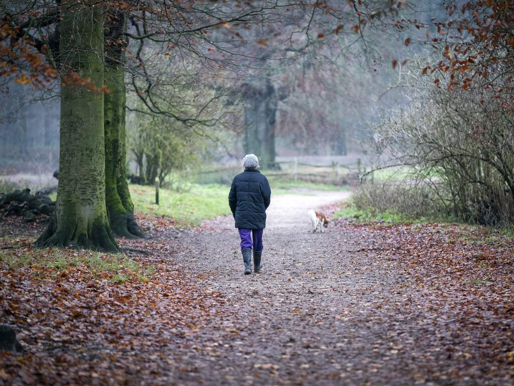 Weerbericht | Zacht herfstweer met lokale regenbuien