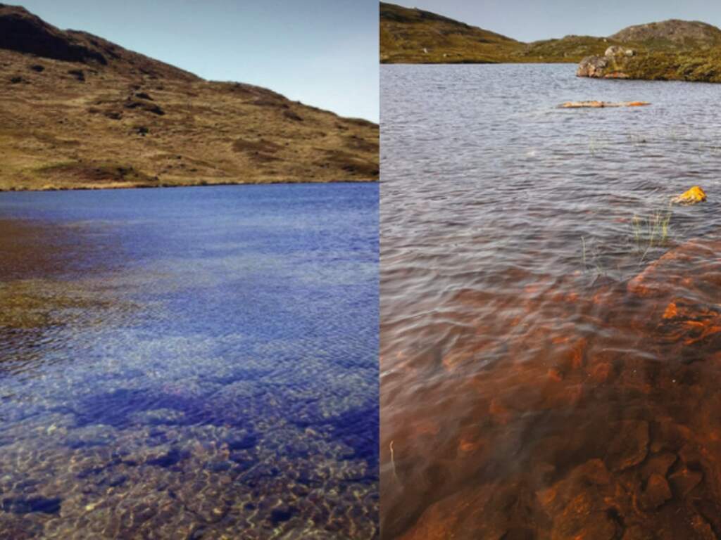 Duizenden meren in Groenland kleuren in korte tijd bruin en stoten CO2 uit