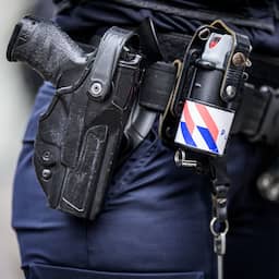 Politie schiet hond dood die baasjes aanviel in Zoetermeer