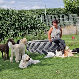 Dierenpensions in het hele land zitten mede door corona en vergrijzing tjokvol