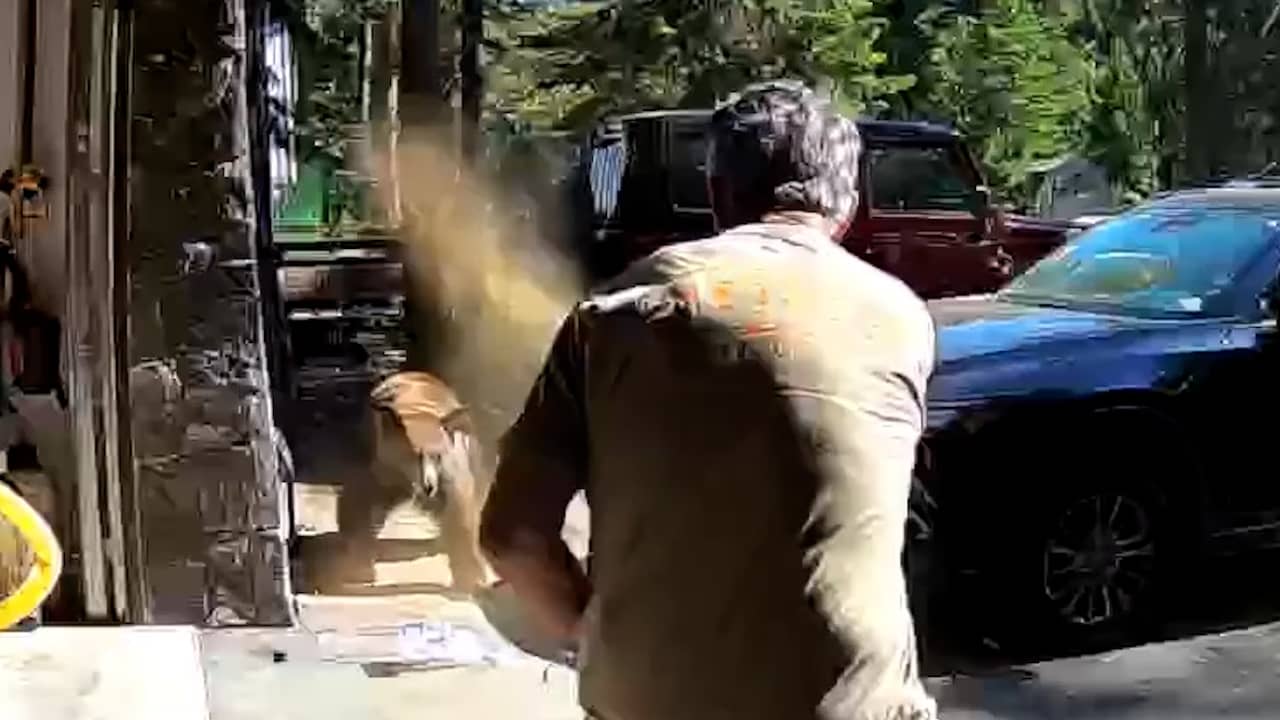 Video | Man jaagt beer weg met spray die op het punt stond aan te vallen