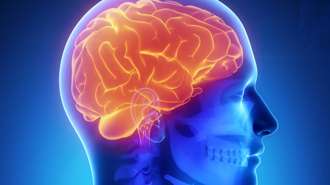 Hersenen Inspanning Elektrische stimulatie hersenen helpt met leren | Tech | NU.nl