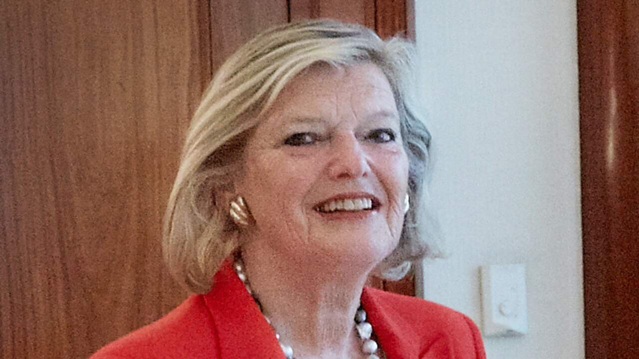 'Kabinet geeft te weinig tijd aan senaat' | Politiek | NU.nl