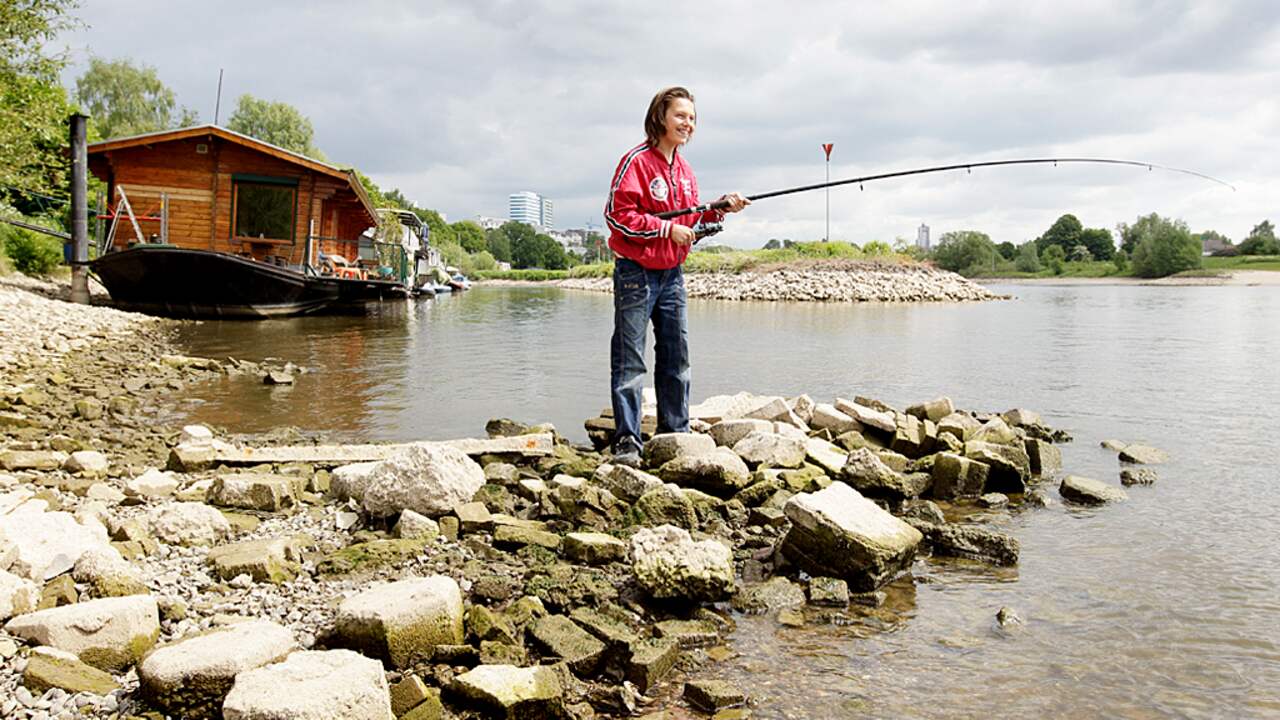 Waterstand Rijn op weg naar record - Oozo.nl