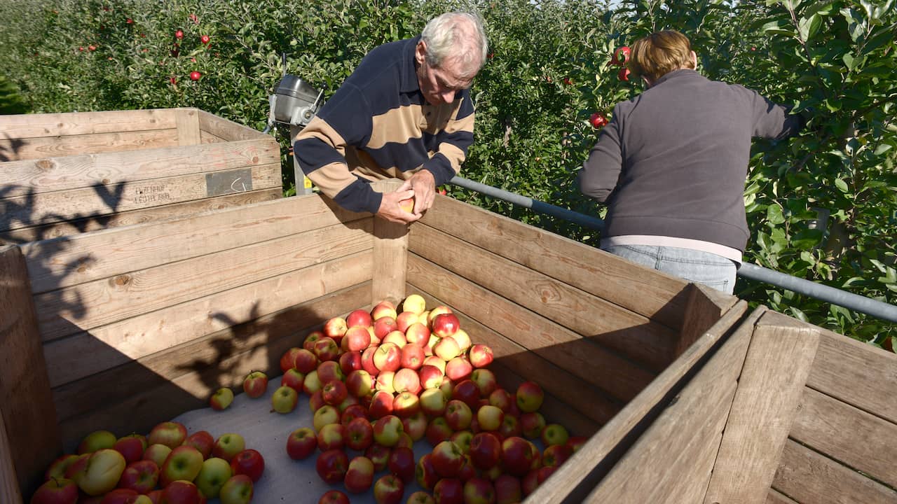 'Voedselexporteurs moeten door zure appel heen bijten' | Ondernemen | NU.nl