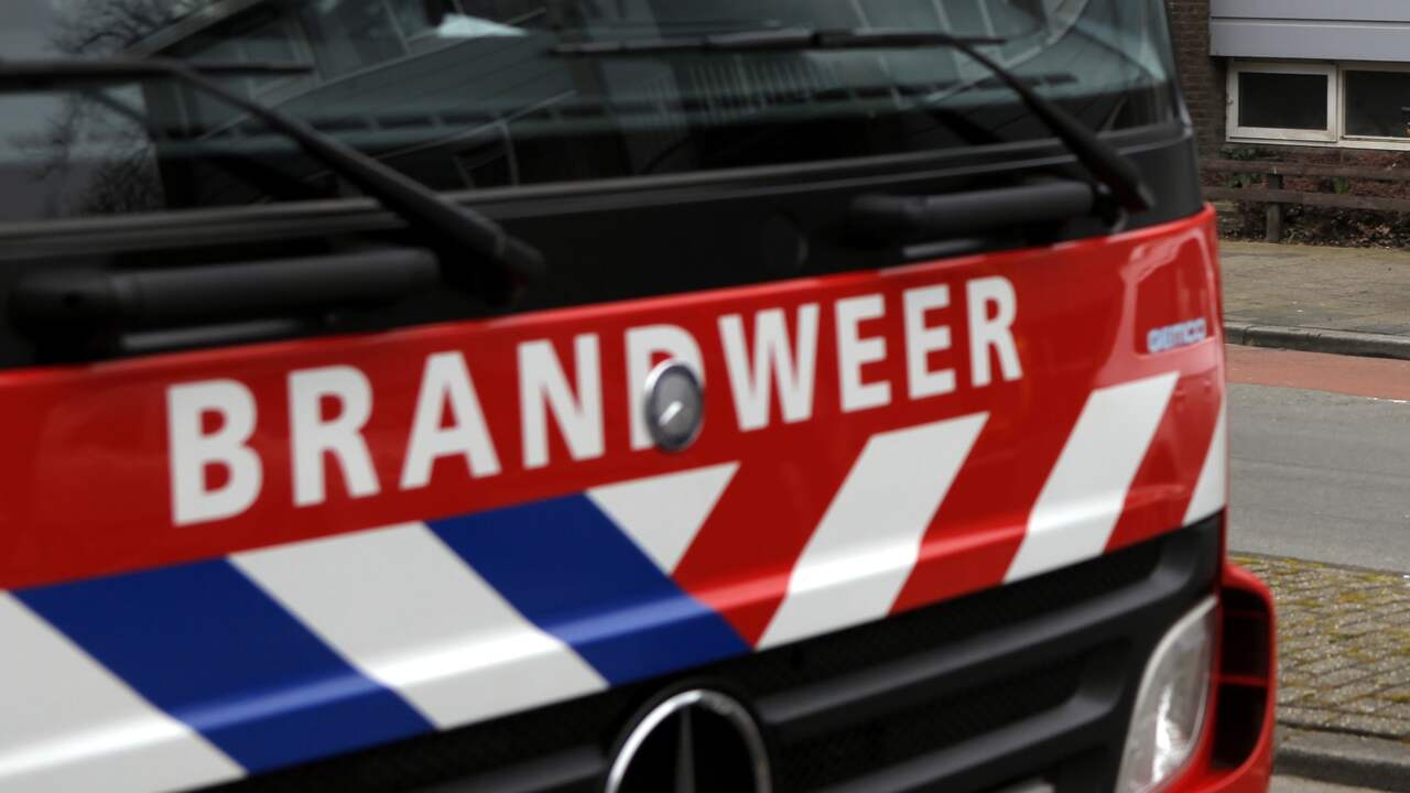Zeer grote brand in loods frambozenkwekerij in Limburgse Roggel