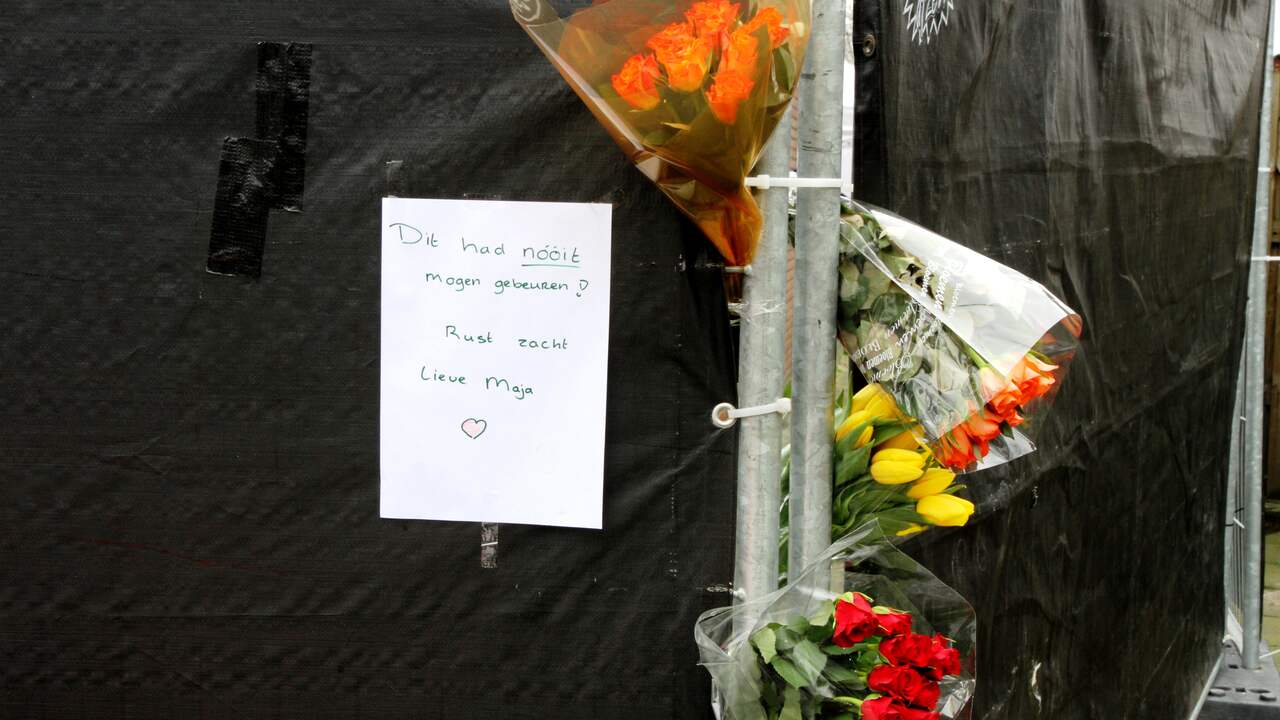 Tbs voor man (22) die moeder doodde
