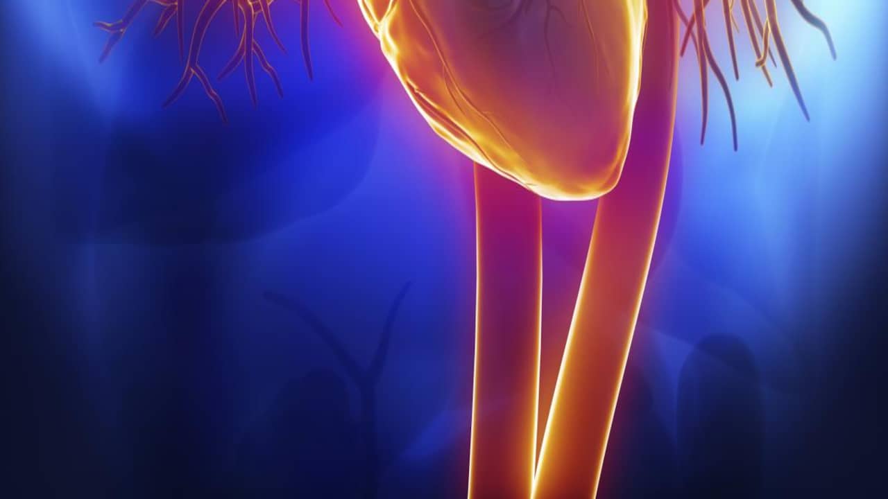 Pijn op de borst niet altijd hartinfarct | Gezondheid | NU.nl