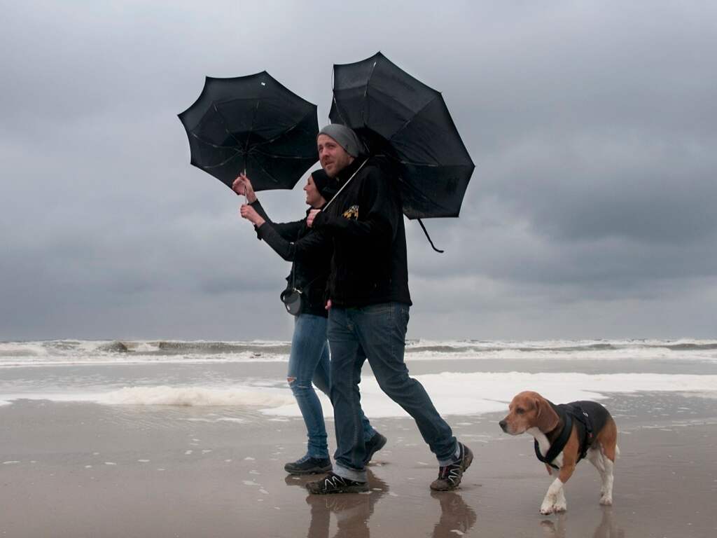 Paraplu aan zee bij wind, nooit een goed idee.