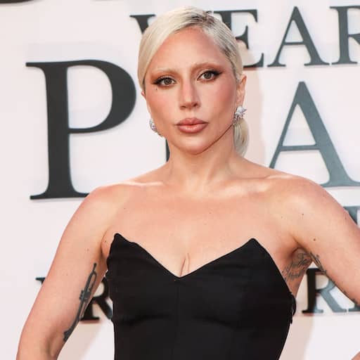 Illustratie bij: Lady Gaga al in juni moeder geworden van dochter Rose