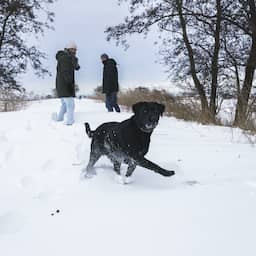 Sneeuwval is goed nieuws voor grondwater: 'Mooie basis voor het voorjaar'