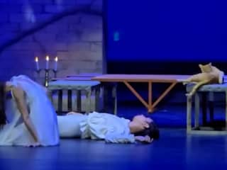 Kat valt balletvoorstelling Romeo en Julia binnen tijdens slotscène