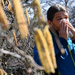 Zonnig en droog weer veroorzaakt pittige week voor hooikoortspatiënten