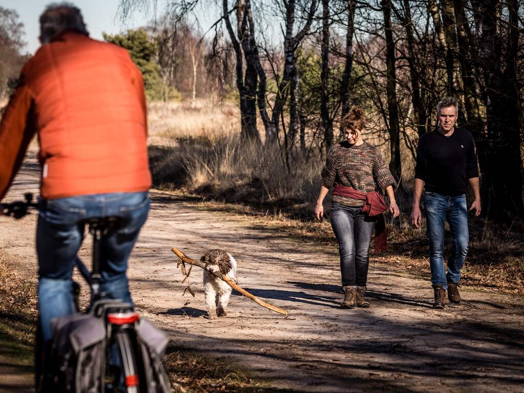 Weekendweerbericht | Zaterdag regenachtig en grijs, zondag zonnig en droog